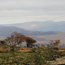 Blyde River Nature Preserve, Mpumalanga Province, South Africa, 2013. Copyright Angela Aliff. CC BY-NC 3.0